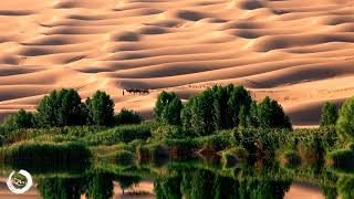 1 Hour Arabian Music  Relaxing Middle Eastern Desert Music [upl. by Kermit]