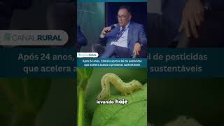 Após 24 anos Câmara aprova lei de pesticidas que acelera o acesso a produtos sustentáveis [upl. by Hilarius]