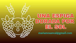 UNA ESPIGA DORADA POR EL SOL 2 VERSIÓN KARAOKE INSTRUMENTAL [upl. by Llerrej]