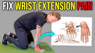 Wrist Extension Pain Mobilizations Quick Fix For Wrist Pain [upl. by Ellehcam110]