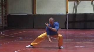 Chen Tai Chi 48 form si shi ba shi Part 1 [upl. by Collin]