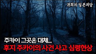 주카이 그곳은 대체후지 주카이의 사건 사고 심령현상ㅣ좋아요 구독 알림설정도 많이 눌러주세요 ㅣ일본괴담ㅣ귀희鬼姬의 일본괴담日本怪談 [upl. by Winnick777]