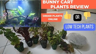 Bunny Cart Plants ReviewBuy or NotLow Tech PlantsNo Co2 No SoilPlanted Tank SetupOnline Plants [upl. by Goth]