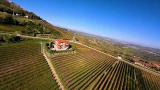 Volo FPV sulle Langhe in Autunno  La Magia di La Morra [upl. by Slack]