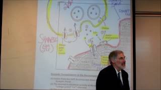 PHYSIOLOGY THE NEUROMUSCULAR JUNCTION by Professor Fink [upl. by Siobhan343]