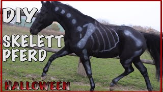 DIY Skelett Pferd ✮✮✮✮✮ Halloween [upl. by Nylhtac903]