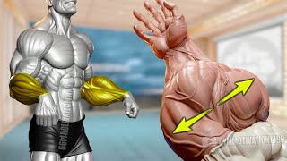 6 Effective Exercises to Get Big Veiny Forearms [upl. by Elicec]