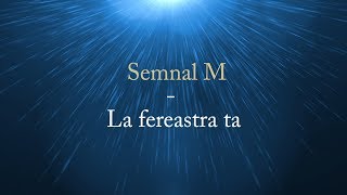 Semnal M  La fereastra ta versuri lyrics karaoke [upl. by Leupold]