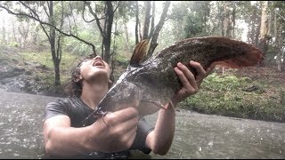 Wild barehanded animal catches [upl. by Silvestro]