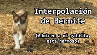 CLASES DE RANCHO Interpolación de Hermite [upl. by Livingstone]