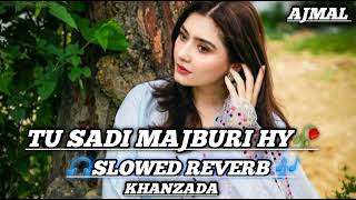 To Sadi Majbori Hai Bara hi zaroori hai TiktokViral song  slowed Reverb  Saraikisong [upl. by Nahaj669]