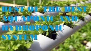 BEST OF DESIGN AQUAPONIC AND HYDROPONIC SYSTEM [upl. by Yauq940]