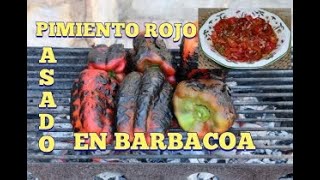 🌶Cómo ASAR pimientos en BARBACOA  Receta Ensalada de pimientos [upl. by Coke]