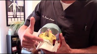 Exertional Compartment Syndrome  Dental Retainer  NeuroCentric Chiropractic [upl. by Ahsille]