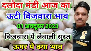 दलौदा मंडी 01 अक्टूबर 2023 का ऊटी बिजवारा लहसुन का भाव ooty bijvara garlic rateaaj ka bijvara bhav [upl. by Ahseka]