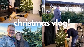 A VERY CHRISTMASSY DAY 🎄  choosing our Christmas tree and introducing our new dog 🐶  VLOG [upl. by Marjy155]