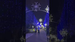 Winterfest riverwalk Pigeon Forge lightings [upl. by Ennoryt]