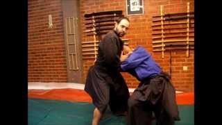 Ogawa Ryu  Aikijujutsu Gohon me by Oscar Monsalve [upl. by Shear]