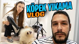 KÖPEKLER İLE BANYODA SAVAŞ TEMİZLİK VLOG [upl. by Lonier965]