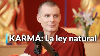 Desata tu Potencial en 4 Claves  Lama Rinchen Gyaltsen Sesión 4 [upl. by Backler]