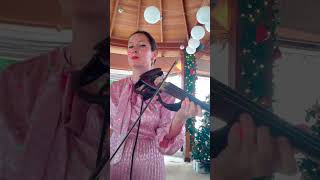 ABBA Money Money Money  Violin Cover by Katrin Romanova [upl. by Hsuk]