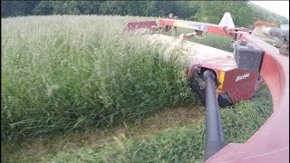 Mowing Darn Nice Hay [upl. by Mcfadden233]