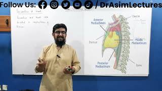 Mediastinum and Heart  Anatomy of Mediastinum and Heart  Mediastinum and heart Biology [upl. by Florie319]