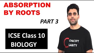 ABSORPTION BY ROOTS  ICSE Class 10 Biology [upl. by Freida]