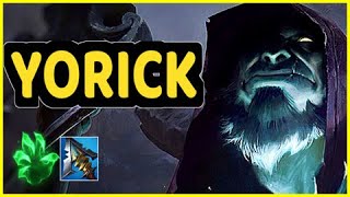 YORICK TOP HIGHLIGHTS [upl. by Egidius757]