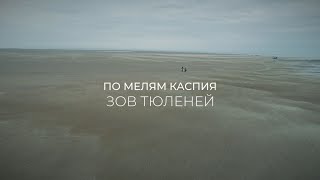 ПО МЕЛЯМ КАСПИЯ  ЗОВ ТЮЛЕНЕЙ [upl. by Ogden]