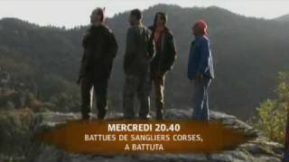 Battues de sangliers en Corse [upl. by Lertnahs]