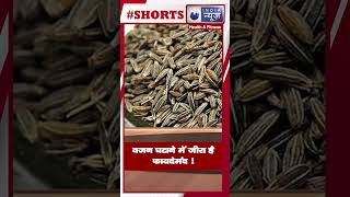 Cumin Seeds For Weight Loss वजन घटाने में जीरा है फायदेमंद । Medically Speaking। [upl. by Atsirhc]