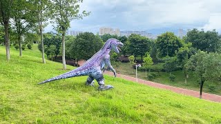 Dinosaur inflatable costume blue raptor foraging in the wild raptor dinosaur [upl. by Barayon]