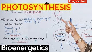 Photosynthesis  Reaction of photosynthesis class 11 bioenergetics [upl. by Ettari]