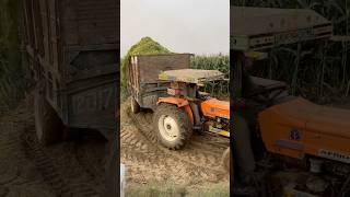 Over load silage or gia gir youtubeshorts shorts trendingshorts farming viralvideo [upl. by Rrats]