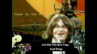 The Box Tops  Soul deep carpool style Karaoke with vocals and Lyrics [upl. by Ynohtnakram]