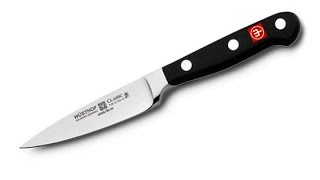 Learn About Paring Knife  What Is a Paring Knife [upl. by Juana]