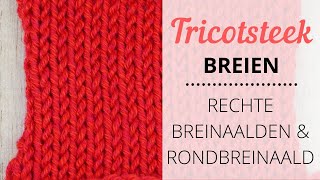 Tricotsteek breien  Op rechte breinaalden amp tricotsteek rondbreien [upl. by Barimah133]