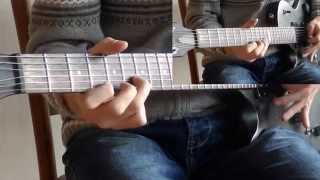 PhoenixBaba Novak guitar cover  TAB [upl. by Frederico209]