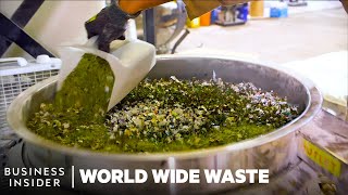 Meet 8 Young Founders Turning Trash Into Cash  World Wide Waste  Insider Business [upl. by Siroval]