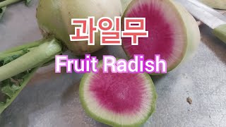 이색 빨간무로 글루코시놀레이트와 안토시아닌이 풍부한 무 A unique red radish rich in glucosinolates and anthocyanins 무 과일무 [upl. by Suiramaj]