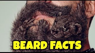 15 Beard Facts that will make you appreciate your beard aka Real Man Facts [upl. by Ahtibat]