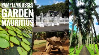 A Day trip to Pamplemousses Botanical Garden PortLouis Mauritius portlouis mauritius [upl. by Hagep]