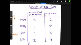 Krebs Cycle AP BIOLOGY [upl. by Seluj531]