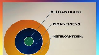 ANTIGEN PART 2 IMMUNOLOGY  TYPES OF ANTIGEN  HETEROPHILE ANTIGEN  ADJUVANT [upl. by Reve]