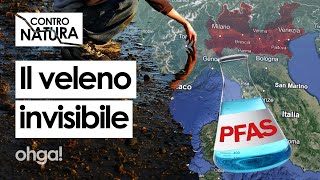 PFAS in Veneto e Lombardia uneredità TOSSICA nel SANGUE delle persone [upl. by Nerwal182]