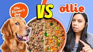 Brutally Honest Dog Food Review 👉 Farmer’s Dog vs Ollie [upl. by Jourdain]