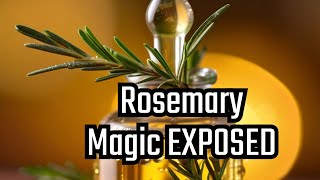 ROSEMARY WATER FOR HAIR GROWTH  DIY Rosemary Water Recipe amp How To Use It [upl. by Abbate]