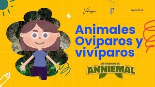 Las Aventuras de Anniemal I Episodio 1 Animales ovíparos y vivíparos [upl. by Avivah]