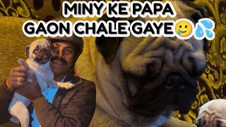 Miny ke papa gaon chale get🥹❤️ [upl. by Rekyr]